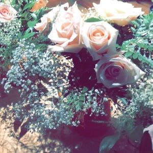 Meet your Posher, Morgan